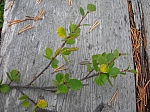 DSCN4642