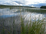 DSCN4666