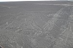 Nazca lines - Strom