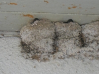 DSCN1739.JPG