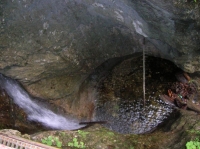 DSCN1750.JPG
