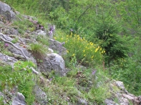 DSCN1765.JPG