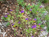 DSCN1766.JPG