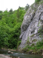 DSCN1768.JPG