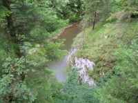 DSCN1770.JPG