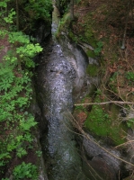 DSCN1773.JPG