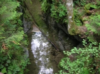 DSCN1774.JPG