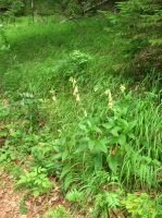 DSCN1775.JPG