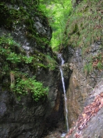 DSCN1782.JPG