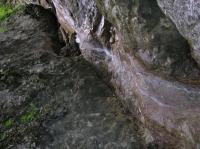 DSCN1784.JPG