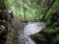DSCN1796.JPG