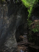 DSCN1800.JPG