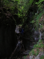 DSCN1801.JPG