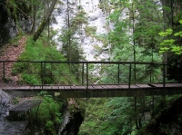 DSCN1802.JPG