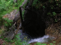 DSCN1803.JPG