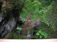 DSCN1804.JPG
