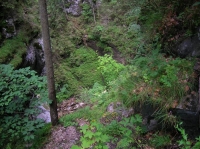 DSCN1806.JPG