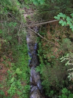 DSCN1808.JPG