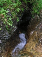 DSCN1809.JPG
