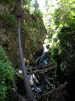 DSCN1810.JPG