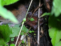DSCN1814.JPG
