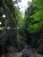 DSCN1815.JPG