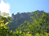 DSCN1183.JPG