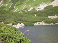 DSCN1838.JPG