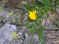 DSCN1847.JPG