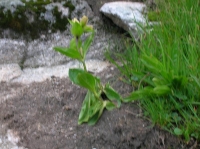 DSCN1849.JPG