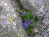 DSCN1852.JPG