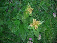 DSCN1853.JPG