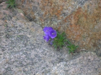DSCN1855.JPG
