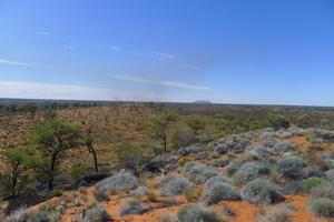 Uluru v dáli