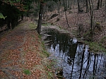 DSCN4994