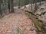 DSCN5001