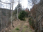 DSCN5003