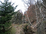 DSCN5004