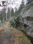 DSCN5005