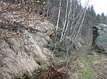 DSCN5006