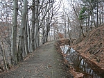 DSCN5008