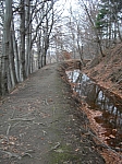 DSCN5009