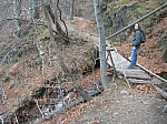 DSCN5010