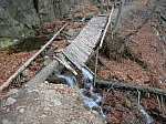 DSCN5015