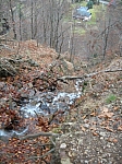 DSCN5016