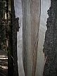 DSCN2565