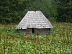 DSCN2584