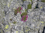 DSCN2729