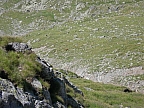 DSCN2870