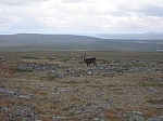 DSCN4526